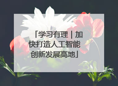 学习有理｜加快打造人工智能创新发展高地