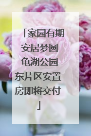 家园有期 安居梦圆 龟湖公园东片区安置房即将交付