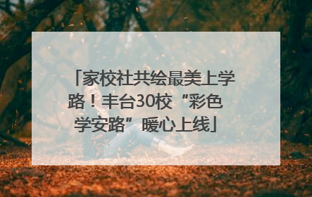 家校社共绘最美上学路！丰台30校“彩色学安路”暖心上线