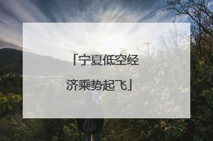 宁夏低空经济乘势起飞