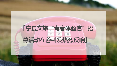 宁夏文旅“青春体验官”招募活动在蓉引发热烈反响