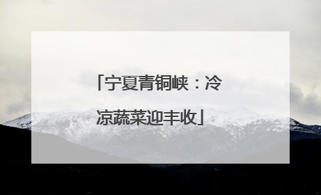 宁夏青铜峡：冷凉蔬菜迎丰收
