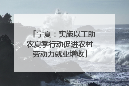 宁夏：实施以工助农夏季行动促进农村劳动力就业增收