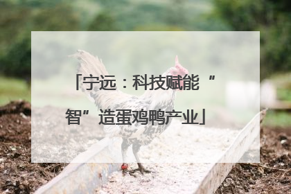 宁远：科技赋能“智”造蛋鸡鸭产业
