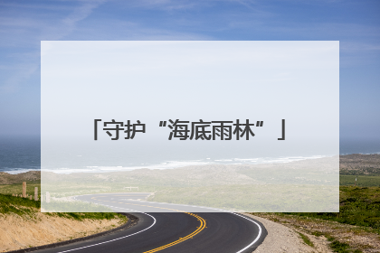 守护“海底雨林”