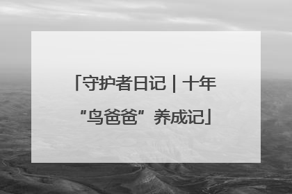 守护者日记｜十年“鸟爸爸”养成记