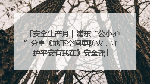 安全生产月｜浦东“公小护”分享《地下空间要防灾，守护平安有我在》安全谣