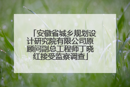 安徽省城乡规划设计研究院有限公司原顾问副总工程师丁晓红接受监察调查