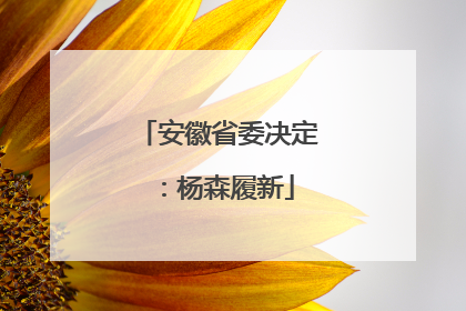 安徽省委决定：杨森履新
