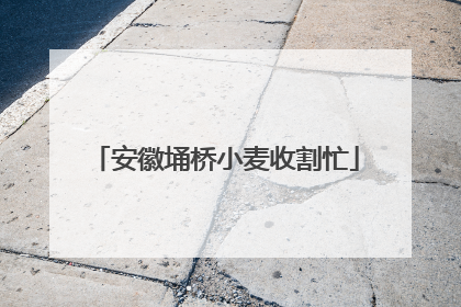 安徽埇桥小麦收割忙