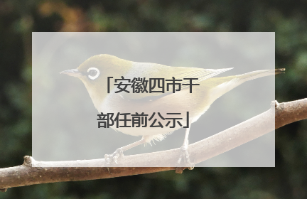 安徽四市干部任前公示