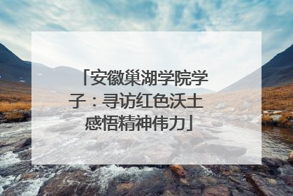 安徽巢湖学院学子：寻访红色沃土 感悟精神伟力