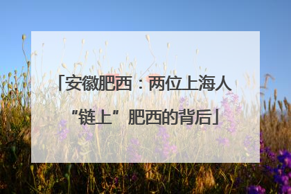 安徽肥西：两位上海人“链上”肥西的背后