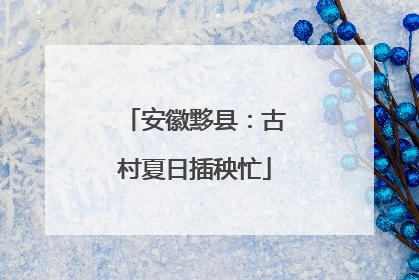 安徽黟县：古村夏日插秧忙