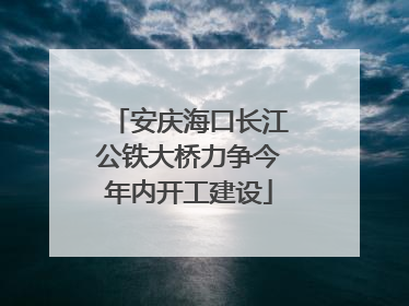 安庆海口长江公铁大桥力争今年内开工建设