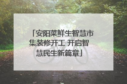 安阳菜鲜生智慧市集装修开工 开启智慧民生新篇章