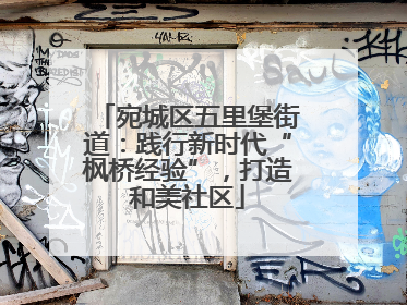 宛城区五里堡街道：践行新时代“枫桥经验”，打造和美社区