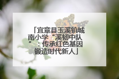 宜章县玉溪镇城南小学“溪韧中队”：传承红色基因 锻造时代新人