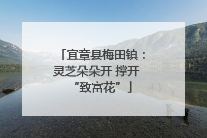 宜章县梅田镇：灵芝朵朵开 撑开“致富花”