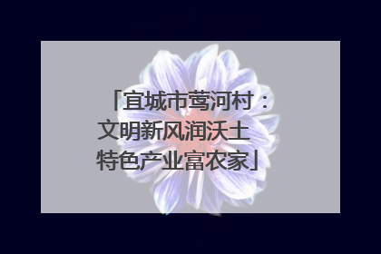 宜城市莺河村：文明新风润沃土 特色产业富农家