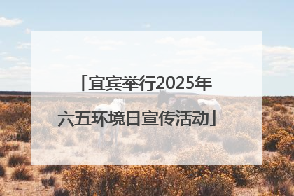 宜宾举行2025年六五环境日宣传活动