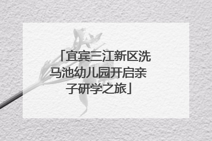 宜宾三江新区洗马池幼儿园开启亲子研学之旅
