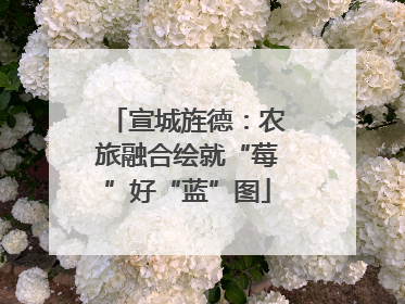 宣城旌德：农旅融合绘就“莓”好“蓝”图