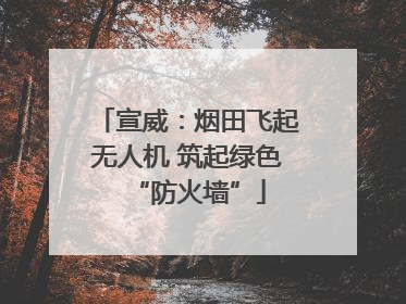 宣威：烟田飞起无人机 筑起绿色“防火墙”