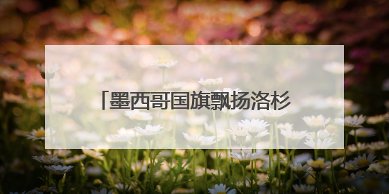 墨西哥国旗飘扬洛杉矶 白宫：看，罪证