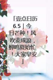 壹点日历6.5｜今日芒种！风吹麦成浪，蝉鸣夏始忙！大家早安