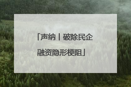 声纳丨破除民企融资隐形梗阻
