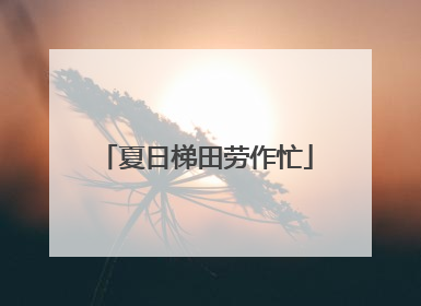 夏日梯田劳作忙