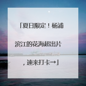 夏日限定！杨浦滨江的花海超出片，速来打卡→