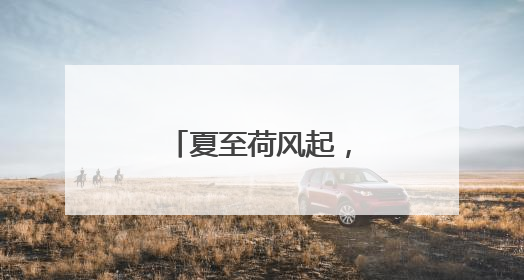 夏至荷风起，石门绘新景
