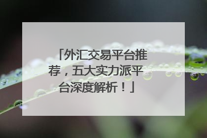 外汇交易平台推荐，五大实力派平台深度解析！