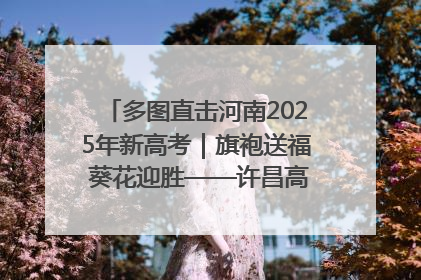 多图直击河南2025年新高考｜旗袍送福 葵花迎胜——许昌高考首日拉开帷幕