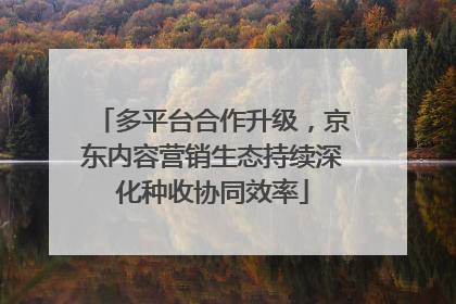 多平台合作升级，京东内容营销生态持续深化种收协同效率
