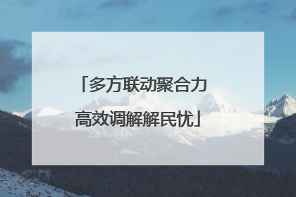 多方联动聚合力 高效调解解民忧