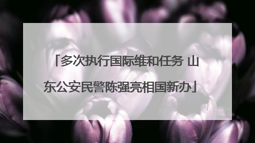 多次执行国际维和任务 山东公安民警陈强亮相国新办