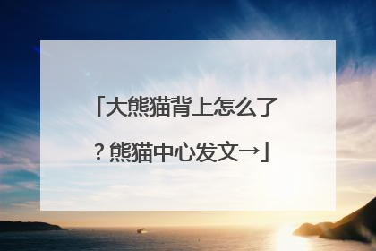 大熊猫背上怎么了？熊猫中心发文→