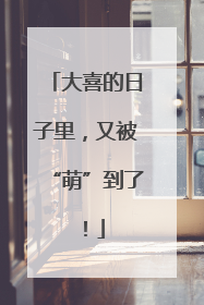 大喜的日子里，又被“萌”到了！