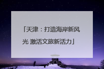 天津：打造海岸新风光 激活文旅新活力