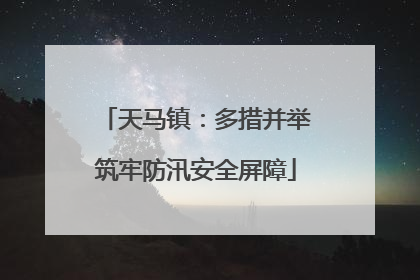 天马镇：多措并举筑牢防汛安全屏障