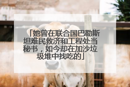 她曾在联合国巴勒斯坦难民救济和工程处当秘书，如今却在加沙垃圾堆中找吃的