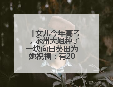 女儿今年高考，永州大姐种了一块向日葵田为她祝福：有200多棵，送了很多给其他家长