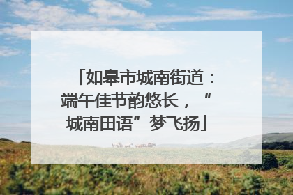 如皋市城南街道：端午佳节韵悠长，“城南田语”梦飞扬