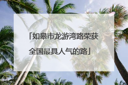 如皋市龙游湾路荣获全国最具人气的路