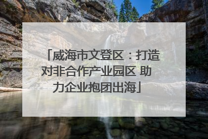 威海市文登区：打造对非合作产业园区 助力企业抱团出海