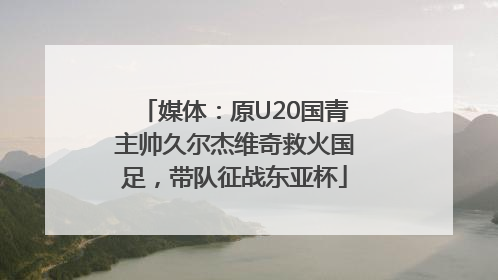 媒体：原U20国青主帅久尔杰维奇救火国足，带队征战东亚杯