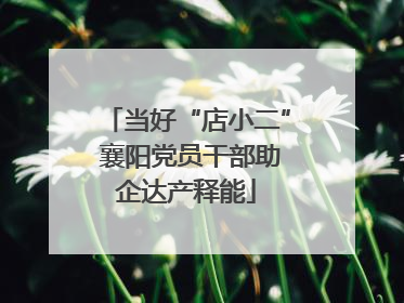 当好“店小二” 襄阳党员干部助企达产释能